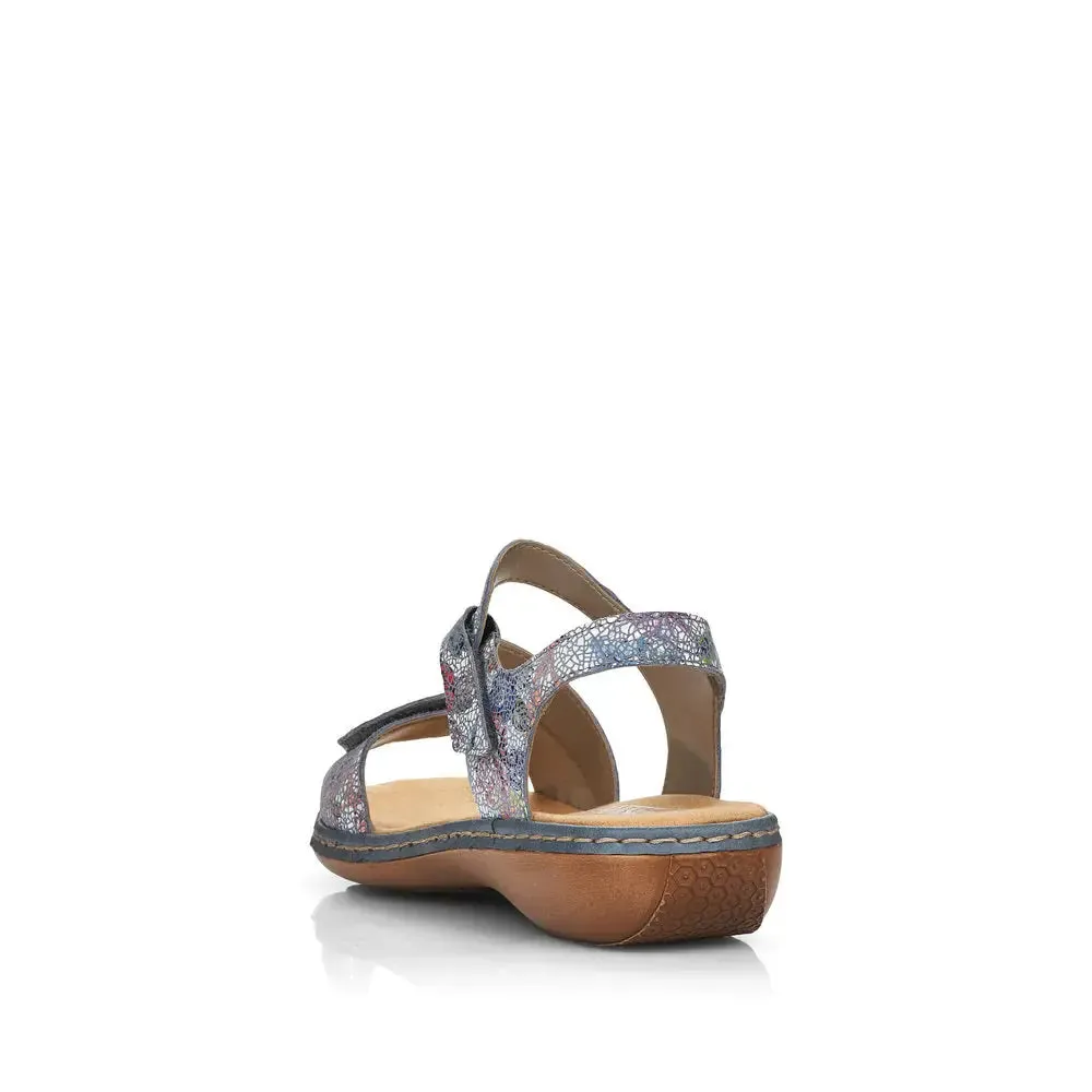 659 C7 Regina - Daisy