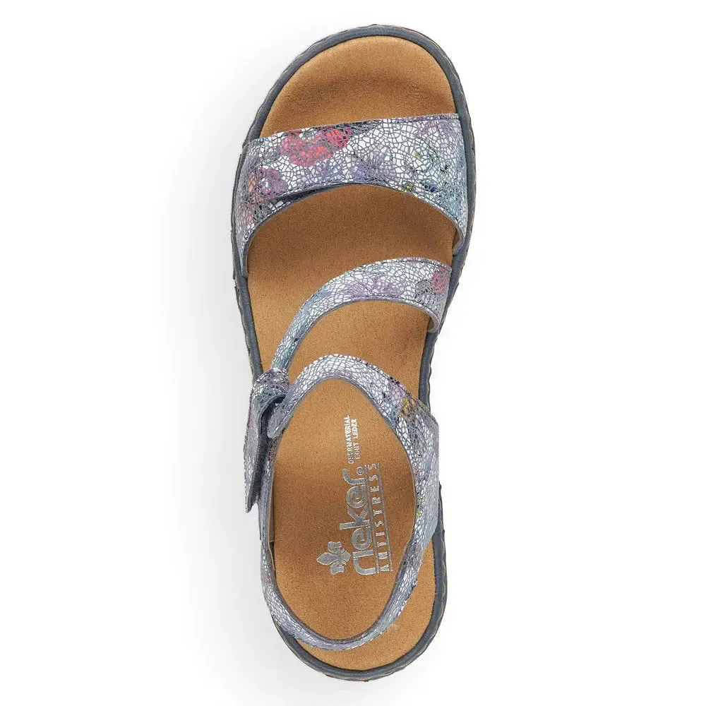 659 C7 Regina - Daisy