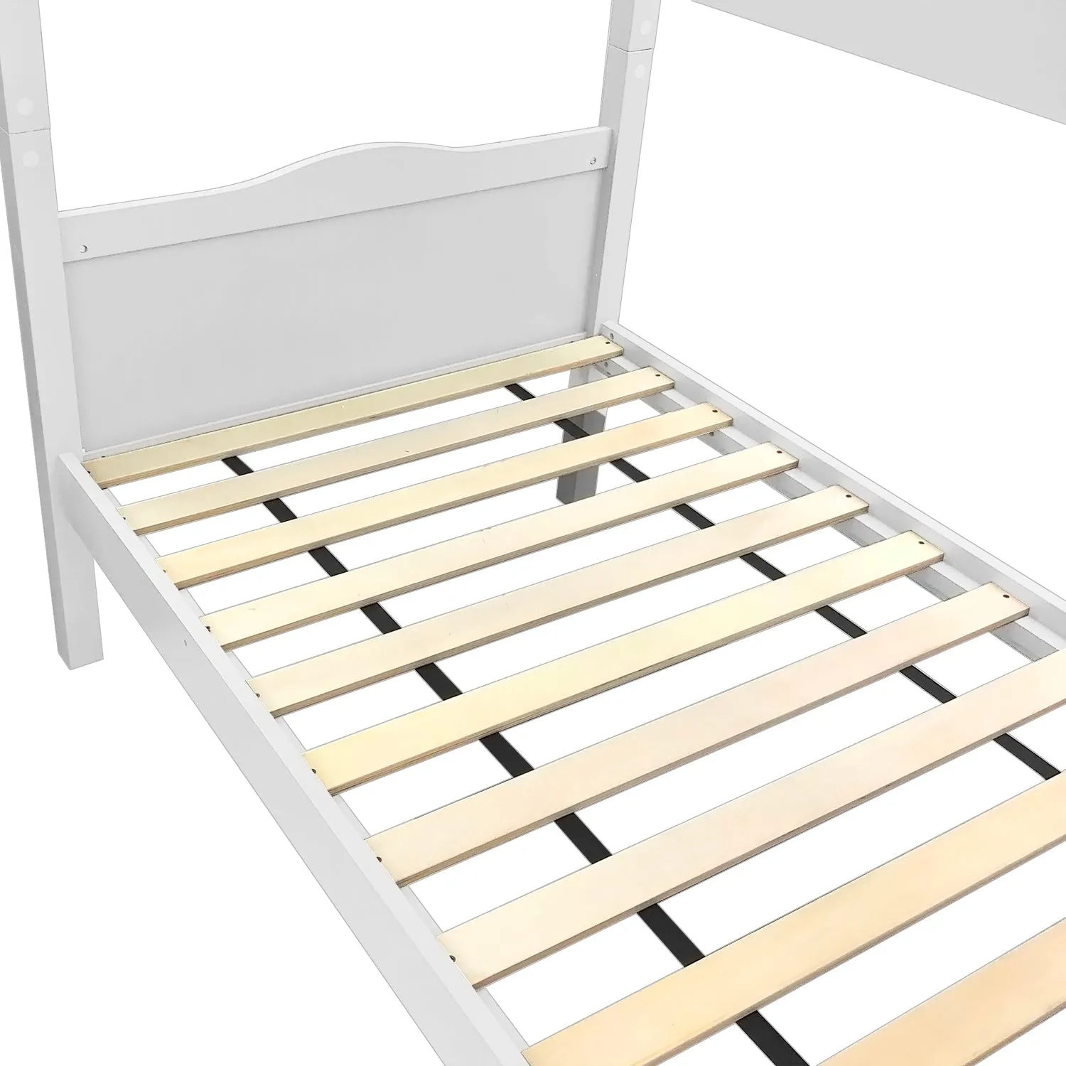 Bunk Bed (Single   Single)