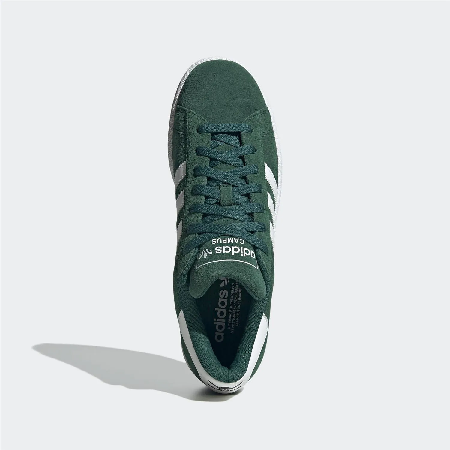 Campus 2 - Cloud Green/Feather White
