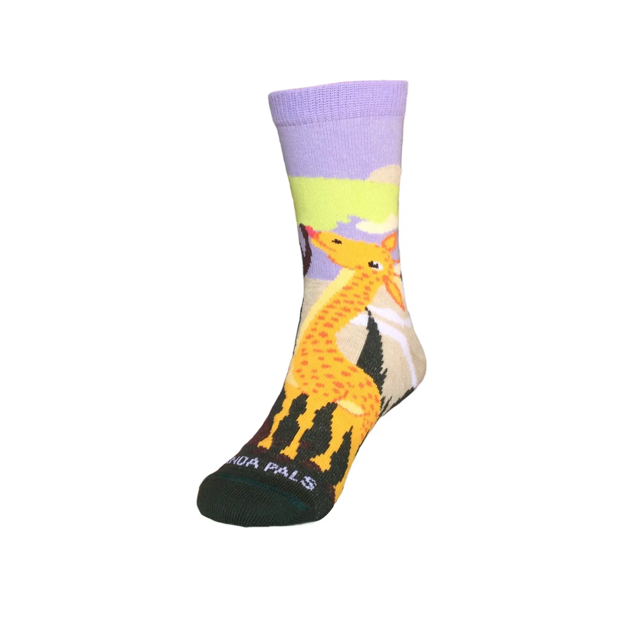 Giraffe Loves Veggie Socks (Ages 3-7) from the Sock Panda