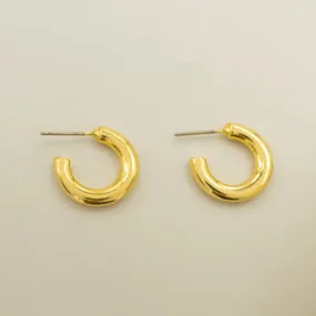 TFC Bold Gold Plated Hoop Earrings